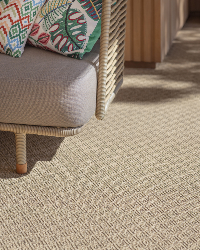 Anywhere Ca-rPET Diamond: The Eco Story of Plastic Bottles 