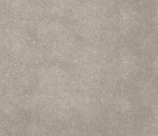 Plush Velvet Moonstone Carpet 8206 Swatch
