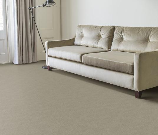 Plush Velvet Tourmaline Carpet 8205 in Living Room