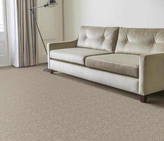 Sisal Metallics Aluminium Carpet 2570 in Living Room