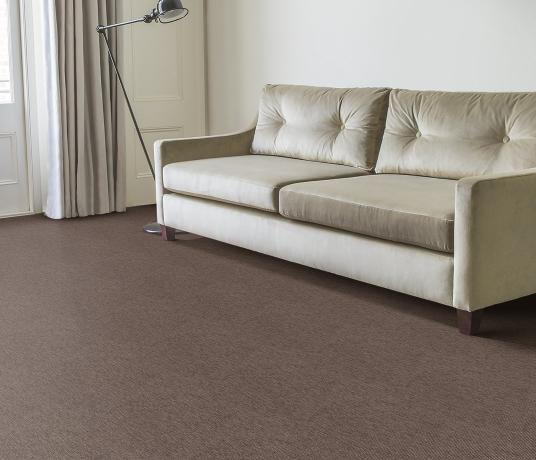 Anywhere Bouclé Cocoa Carpet 8002 in Living Room