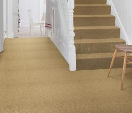 Sisal Tweed Tarvie Carpet 2401 on Stairs thumb