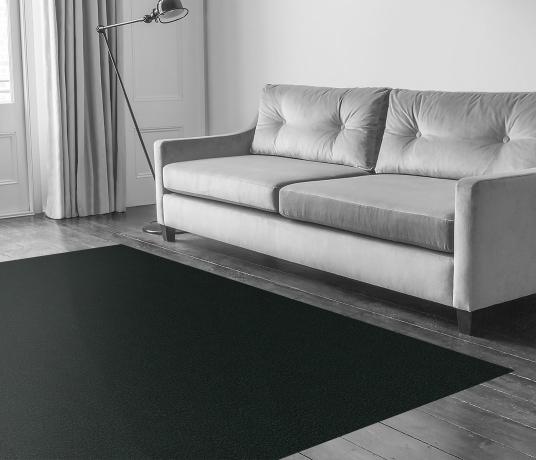 Echo-CoRE Oxlow Carpet 8510 in Living Room