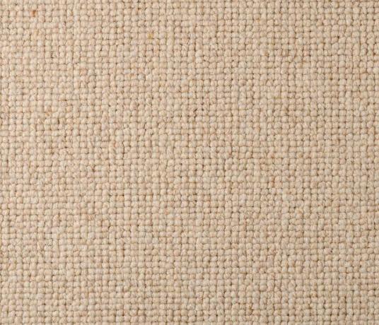 Wool Tipple Moonshine Carpet 1881 Swatch