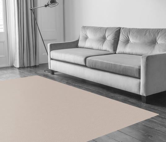 Echo-CoRE Alum Carpet 8501 in Living Room