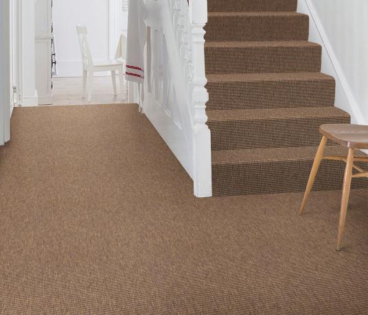 Anywhere Bouclé Copper Carpet 8001 on Stairs