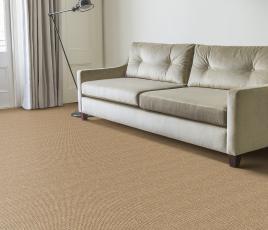 Sisal Panama Donegal Carpet 2503 in Living Room thumb
