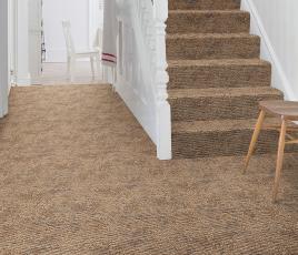 Anywhere Shadow Umbria Carpet 8053 on Stairs thumb