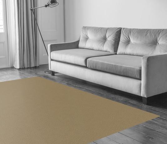 Echo-CoRE Fingal Carpet 8502 in Living Room