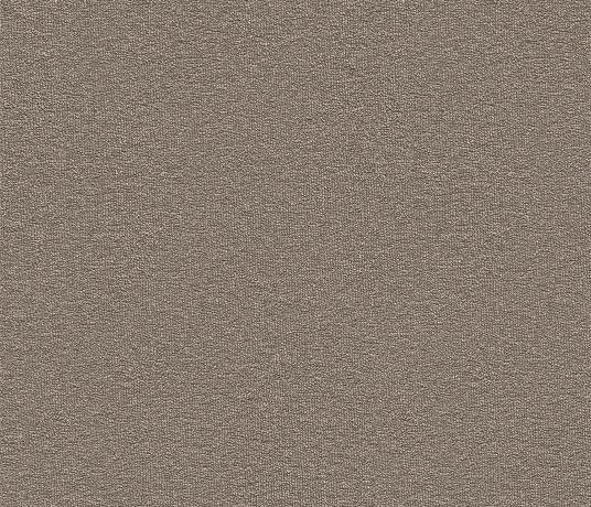 Echo-CoRE Swinsto Carpet 8505 Swatch