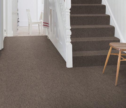 Anywhere Bouclé Cocoa Carpet 8002 on Stairs