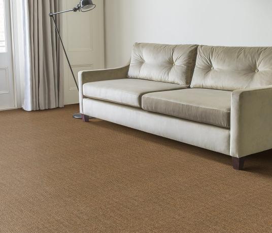 No Bother Sisal Super Bouclé Newbridge Carpet 1451 in Living Room