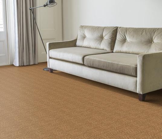 Coir Panama Natural Carpet 2601 in Living Room
