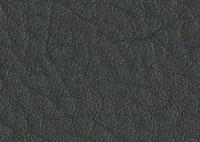 Faux Leather Graphite Border 5521 Swatch thumb