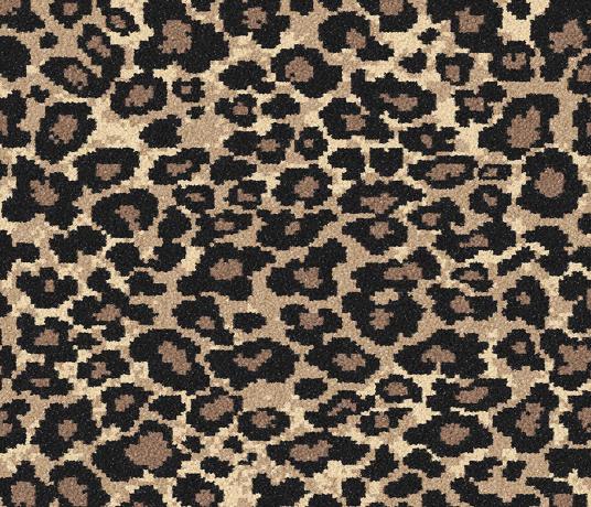 Quirky Leopard Java Carpet 7125 Swatch