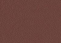 Leather Chestnut Border 4007 Swatch thumb