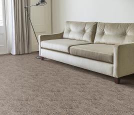 Anywhere Shadow Cast Carpet 8051 in Living Room thumb