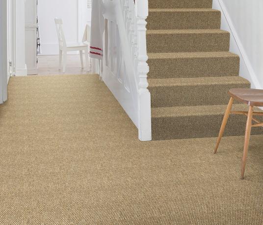 Sisal Panama Donegal Carpet 2503 on Stairs