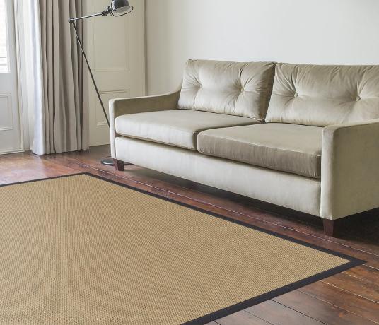 Krissie Seagrass Rug in Living Room