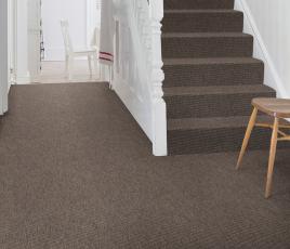Anywhere Bouclé Cocoa Carpet 8002 on Stairs thumb