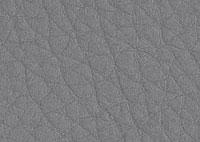 Faux Leather Dove Border 5522 Swatch thumb