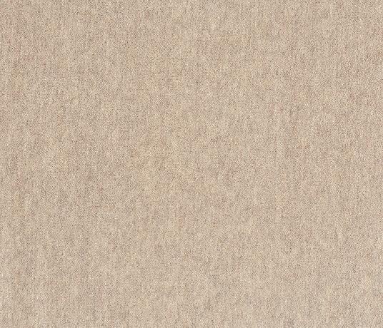 Barefoot Unity Velvet Sand 5833 Swatch