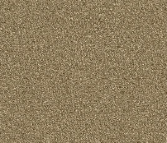 Echo-CoRE Fingal Carpet 8502 Swatch
