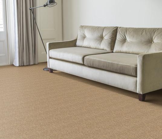 Sisal Panama Donegal Carpet 2503 in Living Room