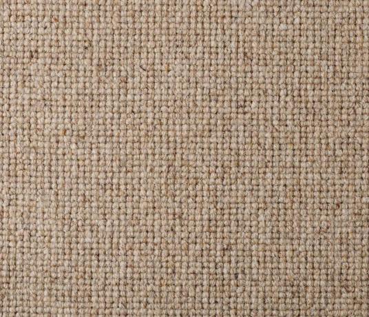 Wool Tipple Kahlua Carpet 1885 Swatch