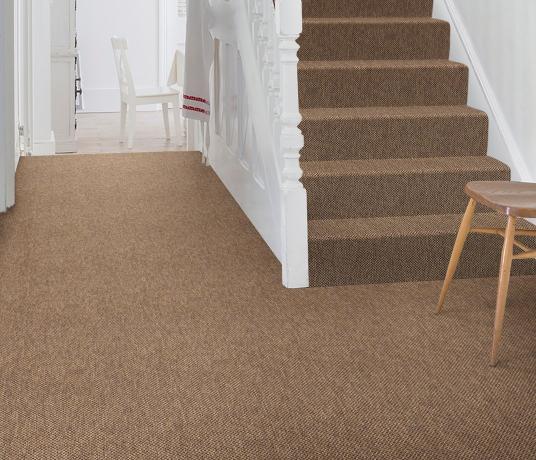 Anywhere Panama Copper Carpet 8021 on Stairs