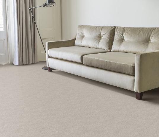 Plush Velvet Pearl Carpet 8204 in Living Room