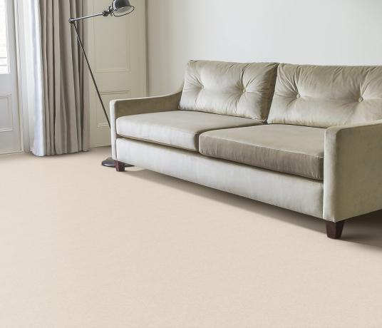 Plush Velvet White Jasper Carpet 8202 in Living Room