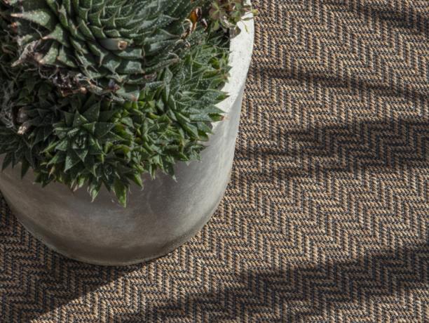 Outdoor Carpets & Rugs 