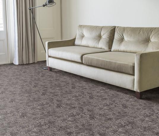 Anywhere Shadow Dark Carpet 8050 in Living Room
