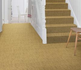 Sisal Panama Pershore Carpet 2508 on Stairs thumb
