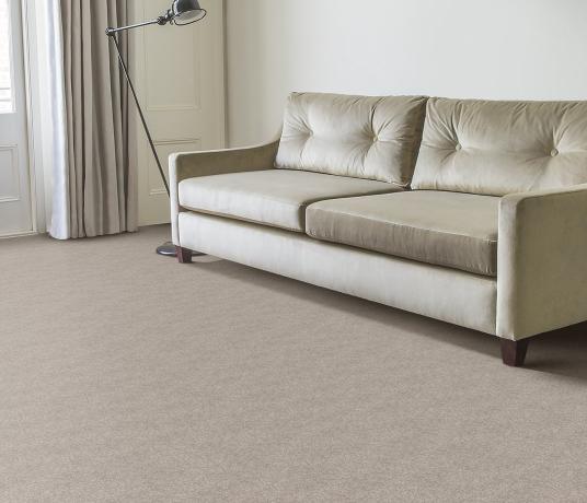Plush Velvet Agate Carpet 8200 in Living Room