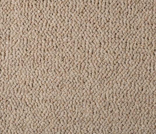 Wool Knot Timber Carpet 1873 Swatch