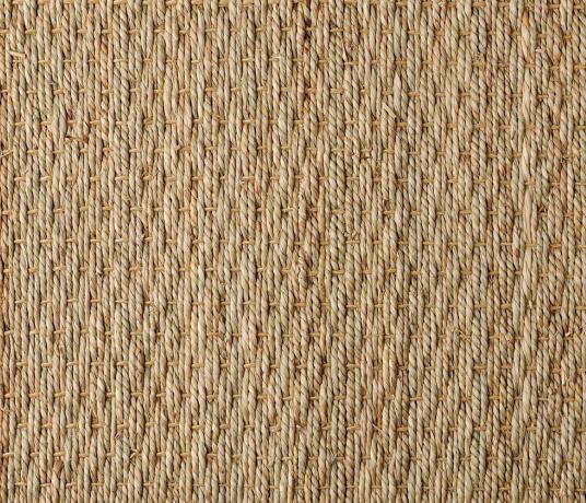 Seagrass Natural Carpet 2101 Swatch