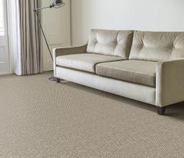 Sisal Metallics Aluminium Carpet 2570 in Living Room thumb
