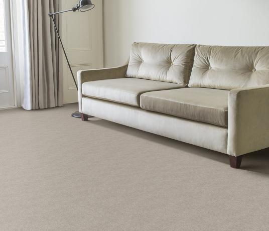 Plush Velvet Moonstone Carpet 8206 in Living Room