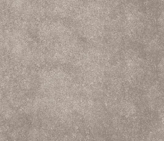 Plush Velvet Agate Carpet 8200 Swatch