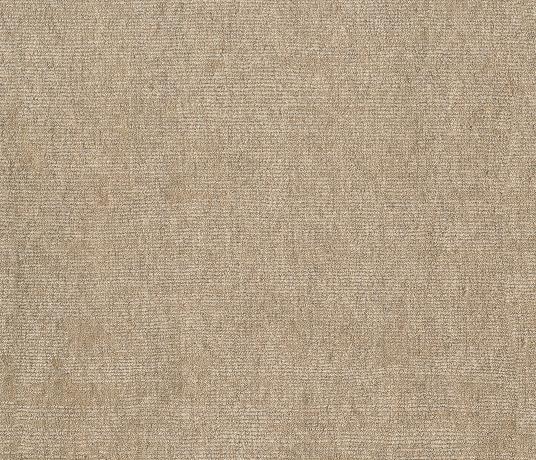 Barefoot Unity Sheer Clay 5842 Swatch