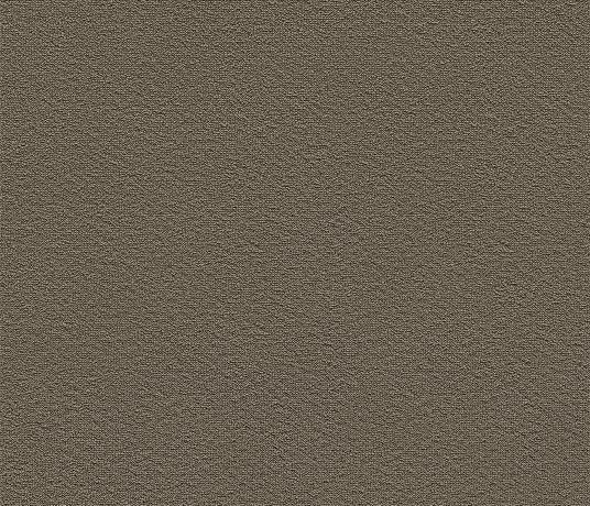 Velvet Ca-rPET Re-cale Carpet 8121 Swatch