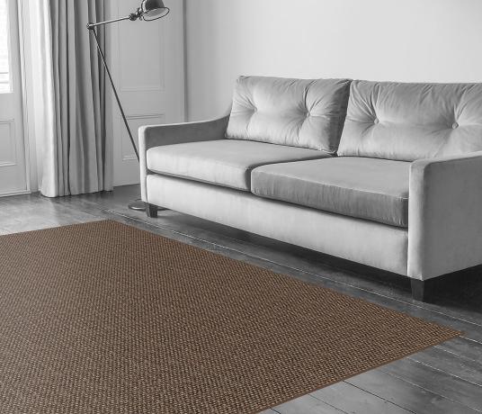 Sisal Metallics Chromium Carpet 2526 in Living Room