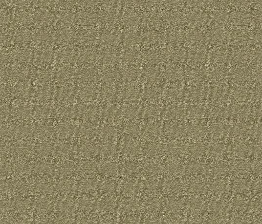 Echo-CoRE Mossdale Carpet 8503 Swatch