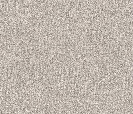 Echo-CoRE Clearwell Carpet 8506 Swatch