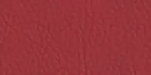 Faux Leather Borders Flame 5530