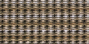 Blur Beeju Border 6418