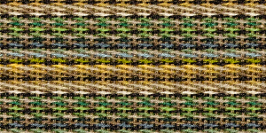 Rainbow Vert Border 6422
