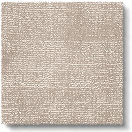 Plush Sheer Topaz Carpet 8221